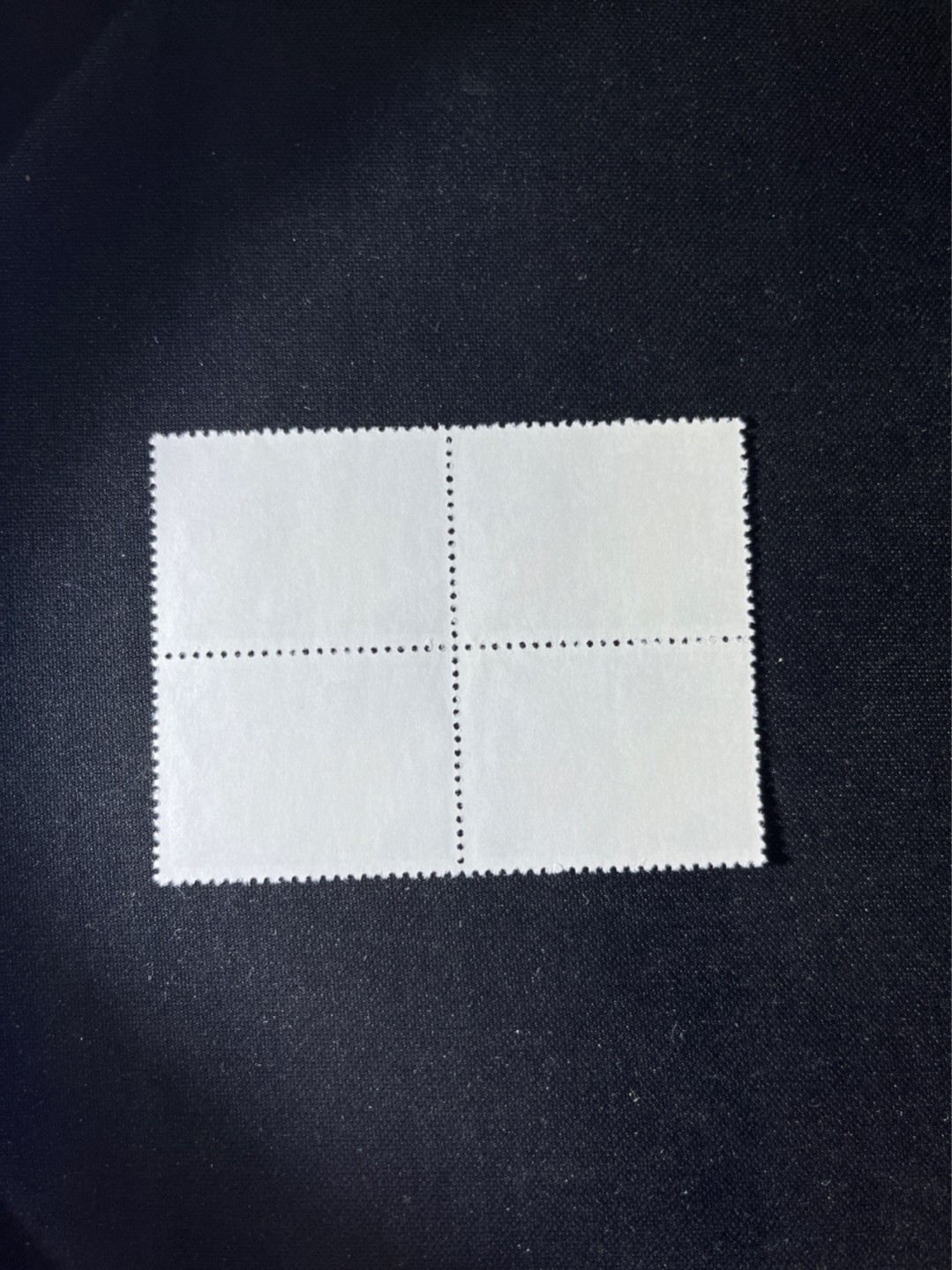洪涛臻品 精选邮票限时拍卖第二十六期 文17知青新，4分4方连一组。版撕全品，齿孔非常新，就是昨天撕的一样，版撕文革小票，品相好，多多益善。所有拍品包过灯，注意捡漏