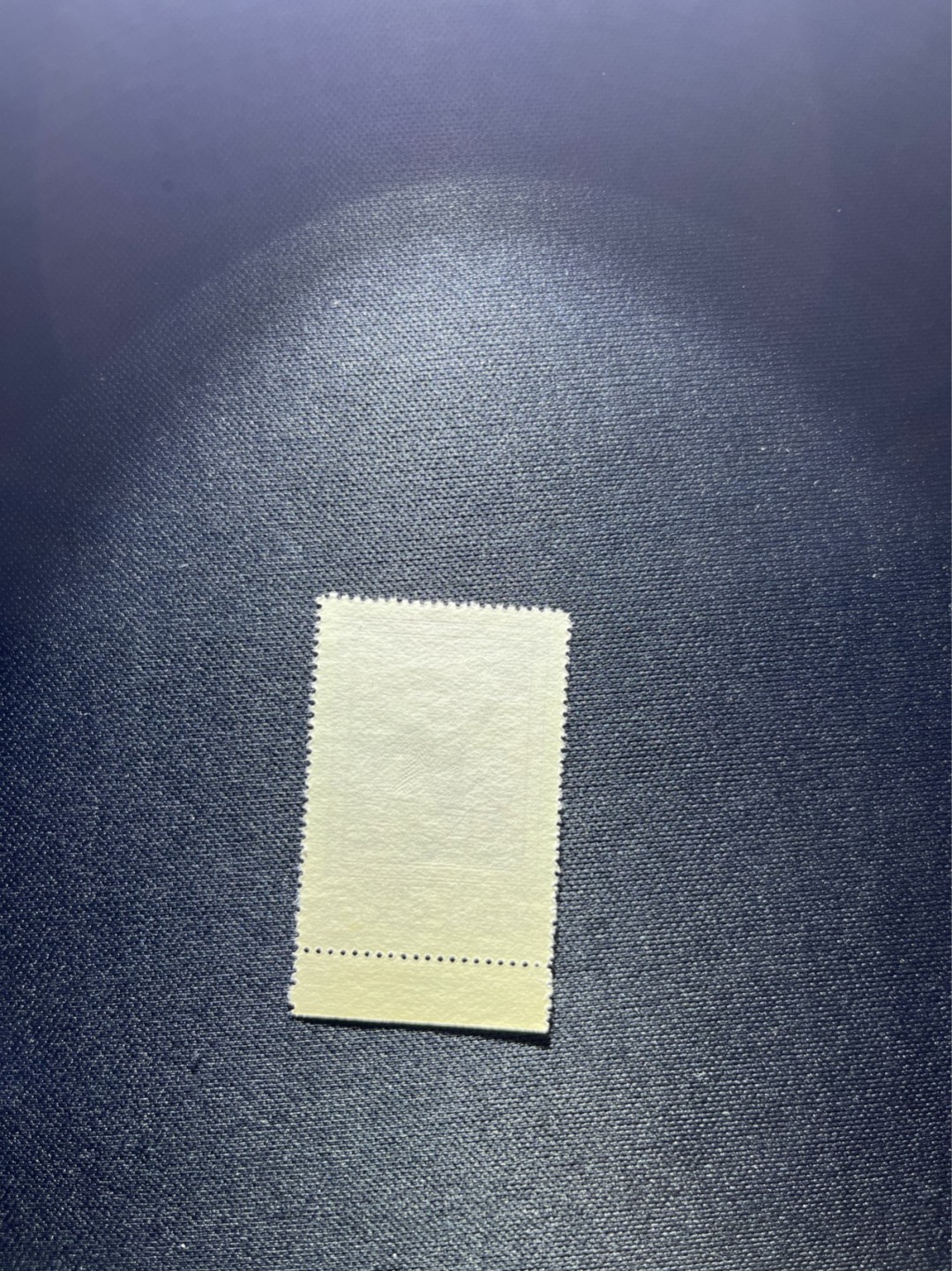 洪涛臻品 精选邮票限时拍卖第二十六期 纪26列宁新 总筋3-2 带边纸1枚  版撕全品嘎嘎绝，收藏级品相★总筋一枚几乎等于一套票★老纪特经典票，ASG90分一套价格1500元左右，博分首选，收藏或评级必须选版撕票，注意捡漏