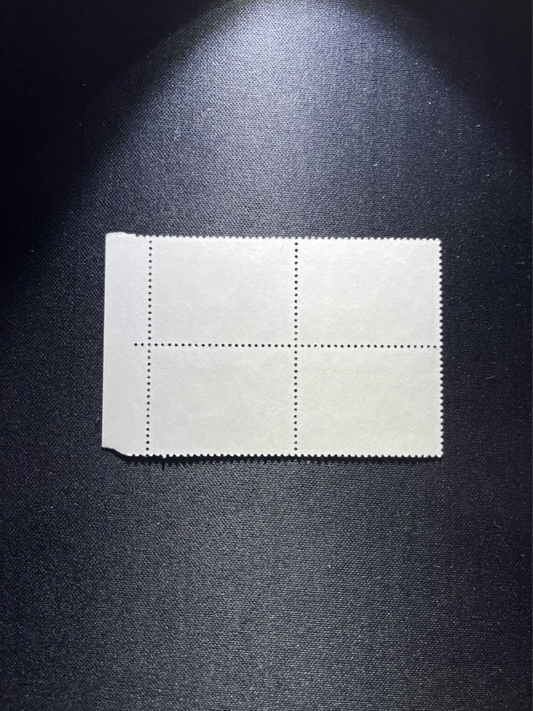 洪涛臻品 精选邮票限时拍卖第二十六期 文17  10分厂名方连一组，全品，三俗稀缺，喜欢不要错过