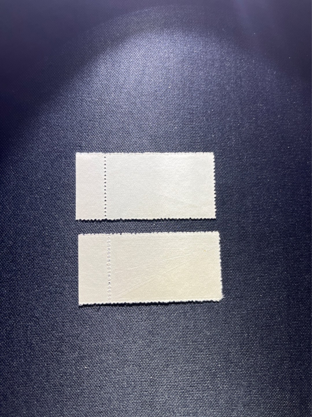 洪涛臻品 精选邮票限时拍卖第二十六期 纪43长江大桥版撕全品一套新票， 边纸色线，嘎嘎绝，版撕票，适合收藏，喜欢不要错过