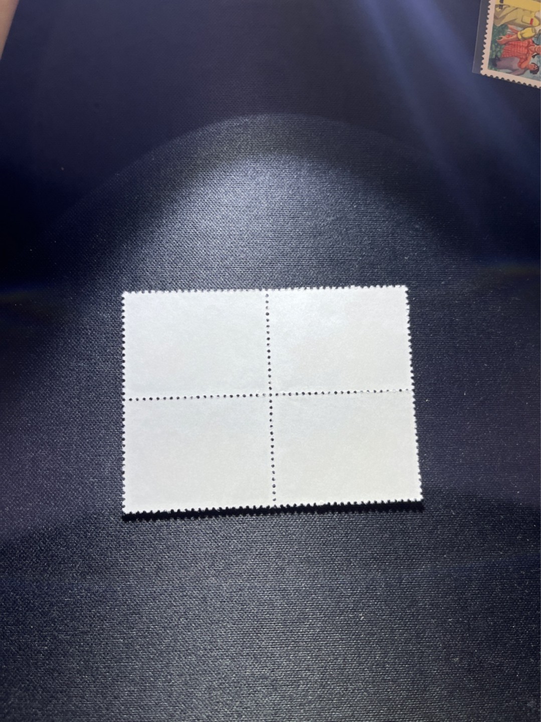 洪涛臻品 精选邮票限时拍卖第二十六期 文17知青新，4分4方连一组。版撕全品，齿孔非常新，就是昨天撕的一样，版撕文革小票，品相好，多多益善。所有拍品包过灯，注意捡漏