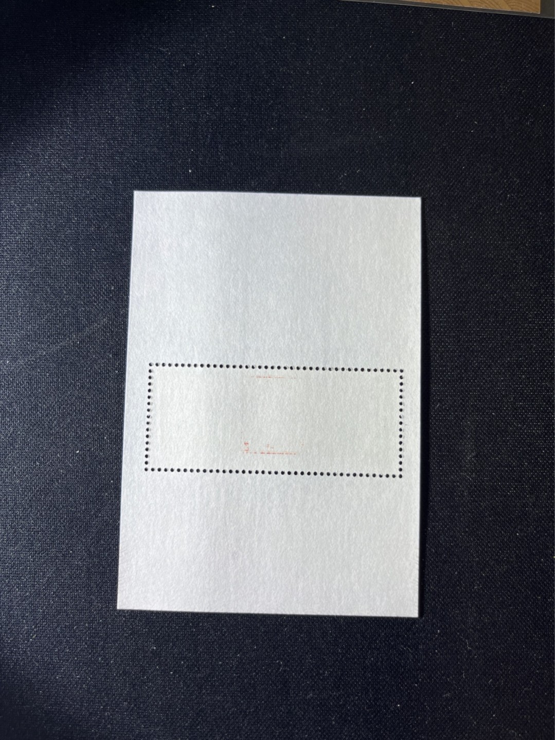 洪涛臻品 精选邮票限时拍卖第二十六期 ✦大龙小型张1枚✦拍品是1枚，新拆盒中间抽了一枚品相无瑕疵的，朋友的大龙评级99分卖了1.2万，全程带硅胶手套拆，不碰金粉，票没有触痕，收藏或者搏高分的老板留意下！！全品可直接评级