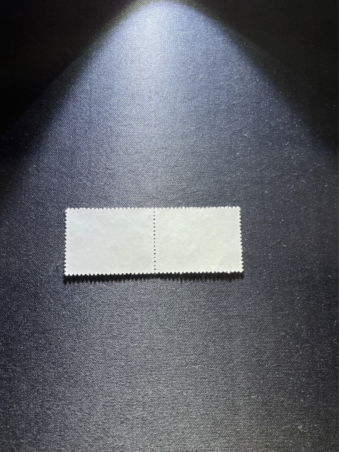洪涛臻品 精选邮票限时拍卖第二十六期 文17知青新，4分2连一组。版撕全品，齿孔非常新，就是昨天撕的一样，版撕文革小票，品相好，多多益善。所有拍品包过灯，注意捡漏