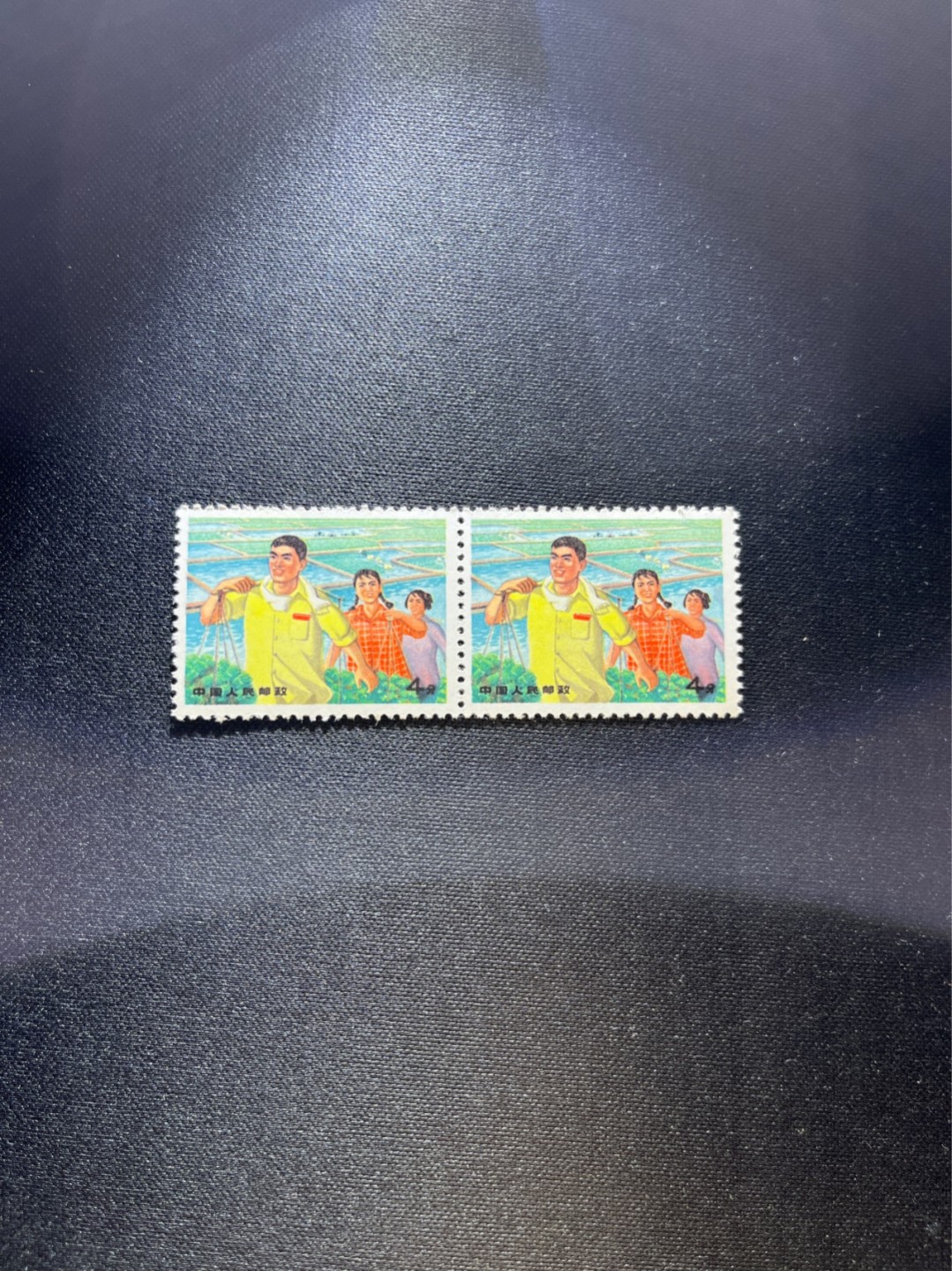洪涛臻品 精选邮票限时拍卖第二十六期 文17知青新，4分2连一组。版撕全品，齿孔非常新，就是昨天撕的一样，版撕文革小票，品相好，多多益善。所有拍品包过灯，注意捡漏