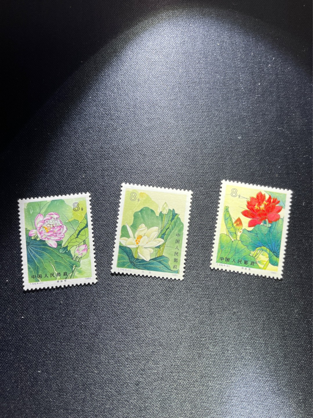 洪涛臻品 精选邮票限时拍卖第二十六期 T54荷花新 缺4-4，3枚，非常漂亮的热门JT票，版撕嘎嘎绝，不是赵涌所谓的全品能比的，全品可评级，所有拍品包过灯，注意捡漏