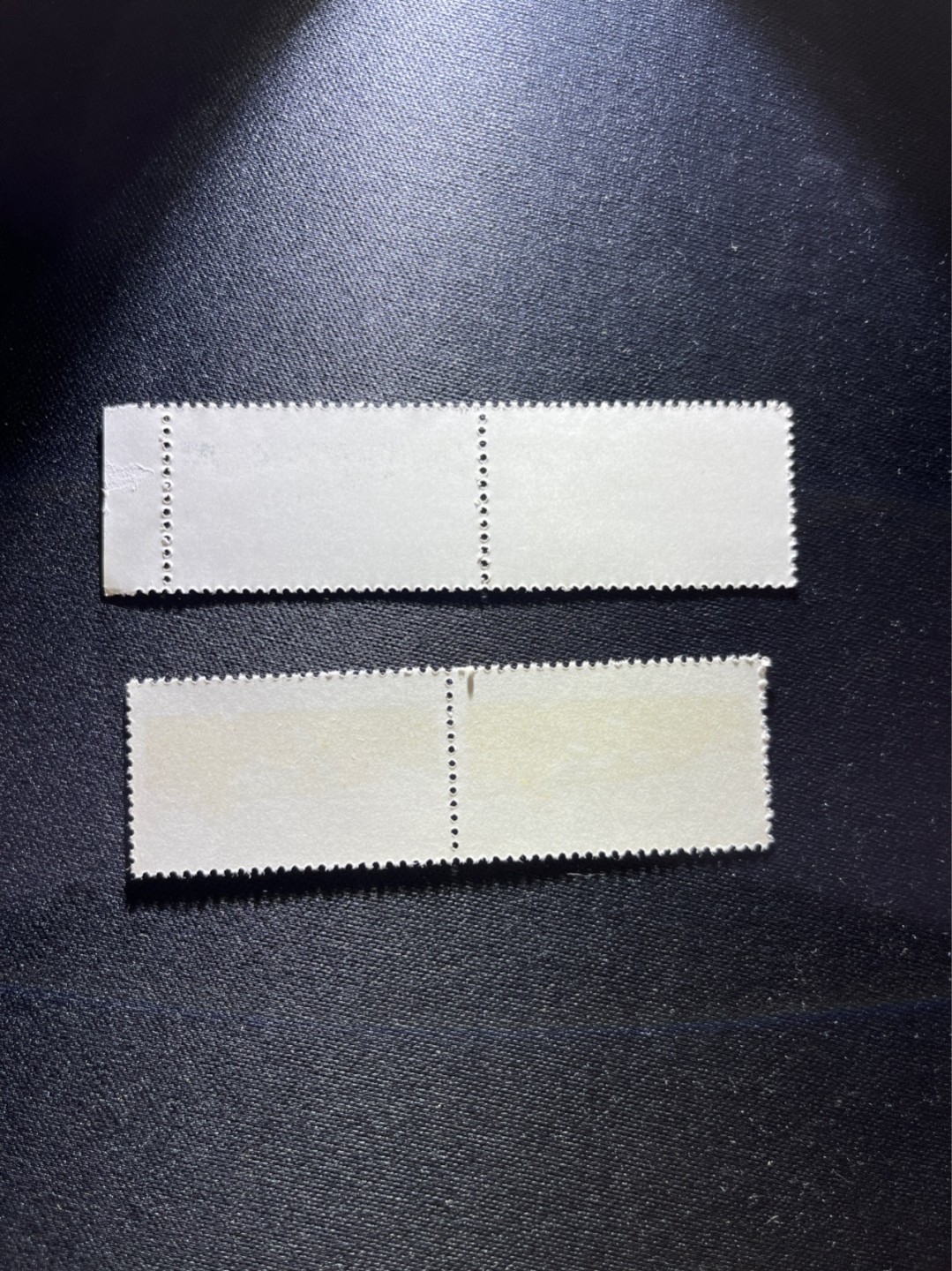 洪涛臻品 精选邮票限时拍卖第二十六期 文14长江大桥  4分 +10分新  2连一对，版撕全品嘎嘎绝，收藏级品相，全品可评级，喜欢不要错过