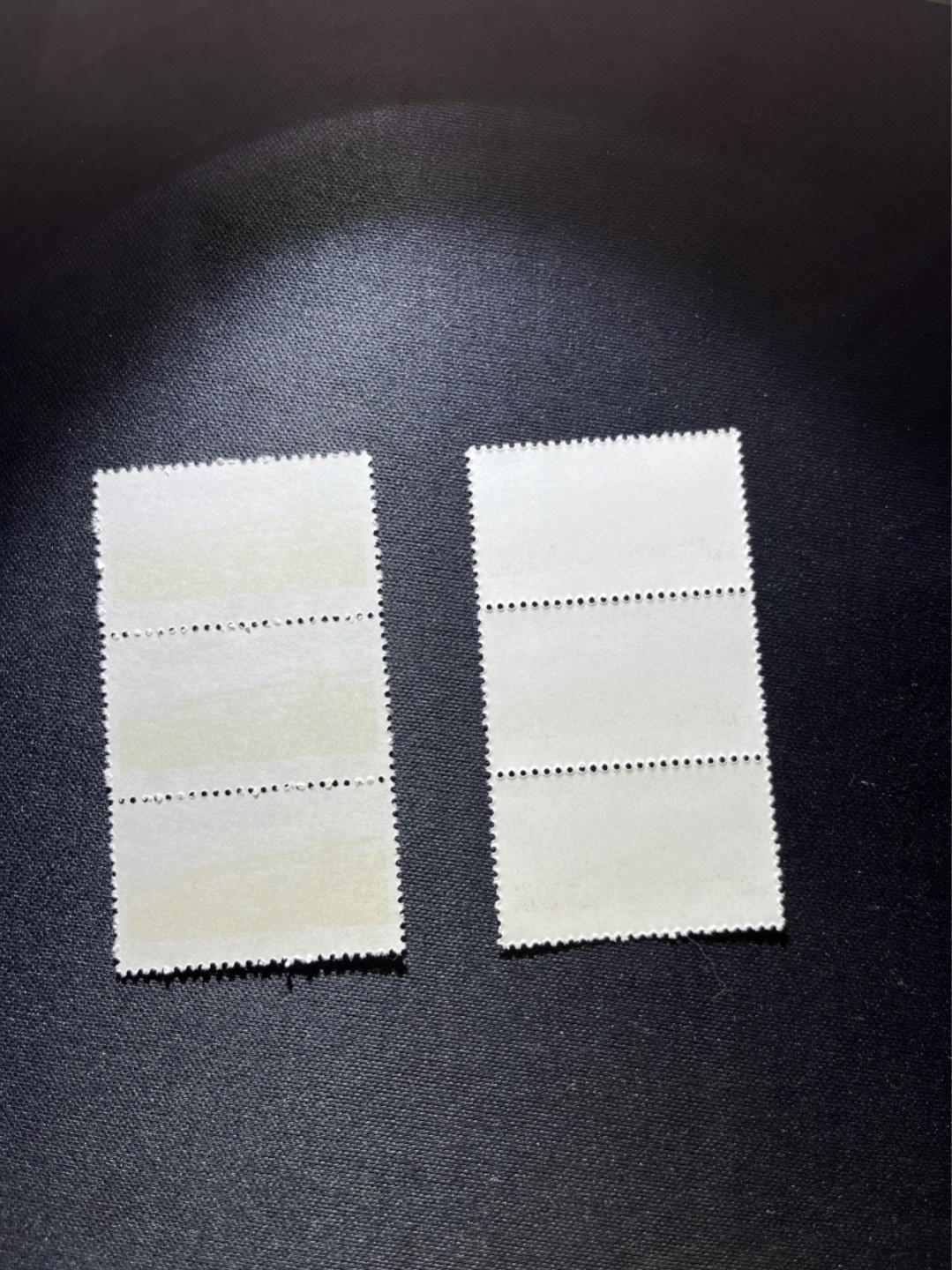 洪涛臻品 精选邮票限时拍卖第二十六期 文14长江大桥  4分 +10分新  3连一对，版撕全品嘎嘎绝，收藏级品相，全品可评级，喜欢不要错过