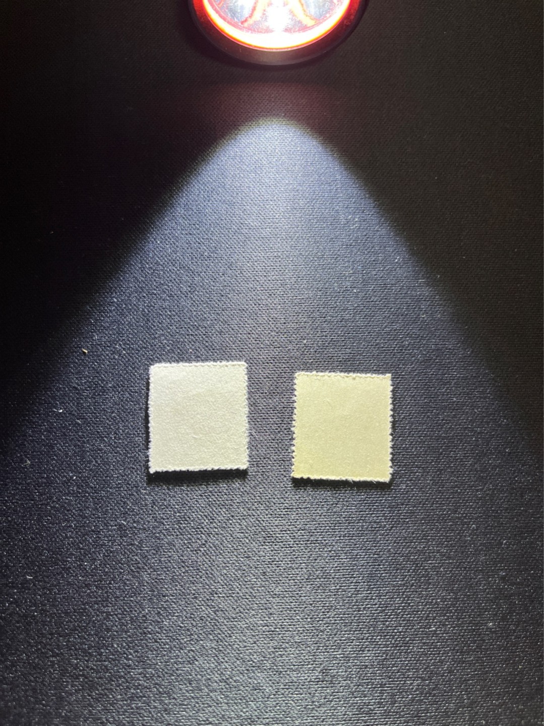 洪涛臻品 精选邮票限时拍卖第二十七期 普10花卉盖销顺戳  全品2枚