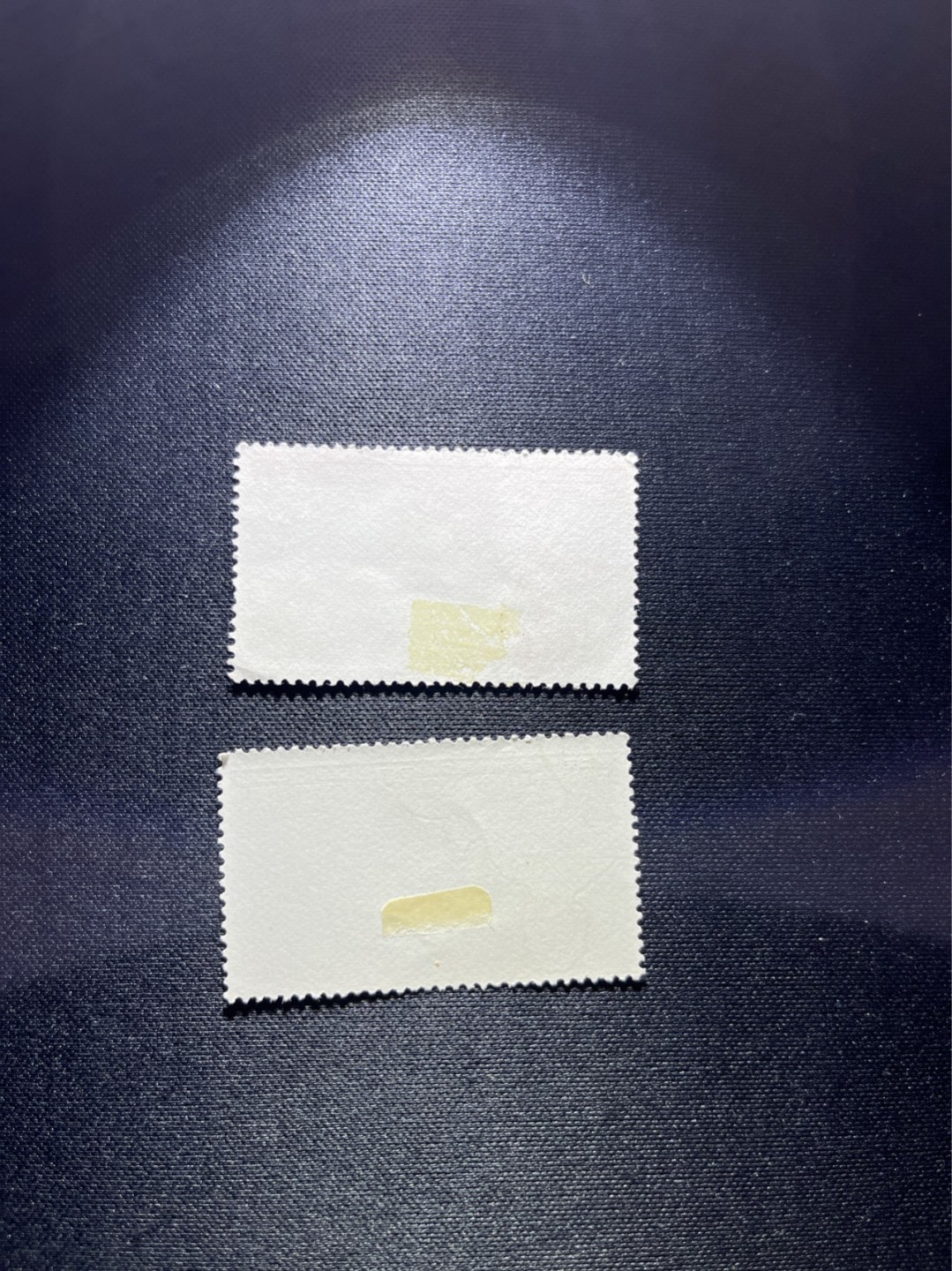 洪涛臻品 精选邮票限时拍卖第二十七期 特69  8-2盖销上品2枚  贴纸