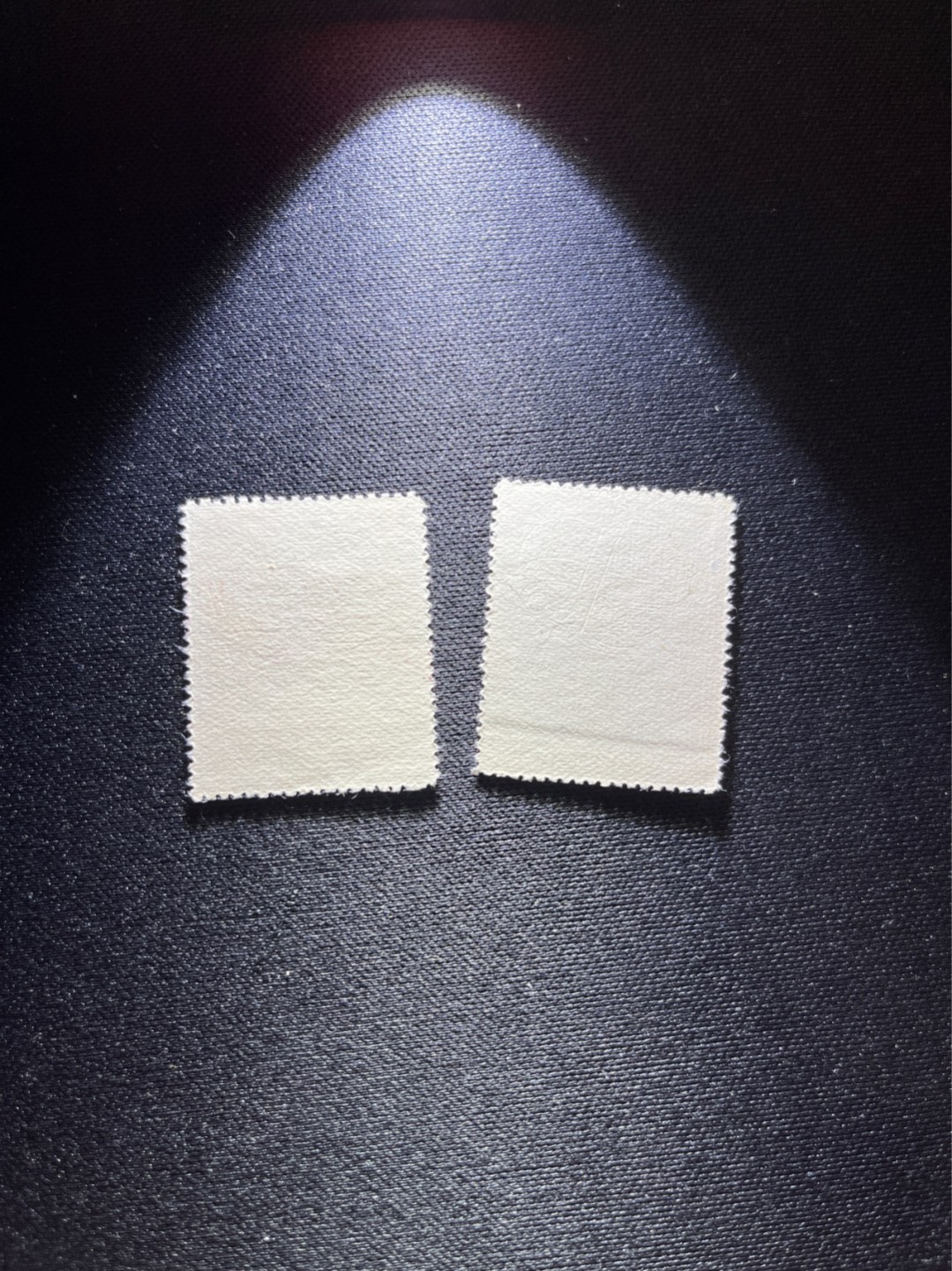洪涛臻品 精选邮票限时拍卖第二十七期 纪42无产者联合 盖销全品  顺戳  轻微压痕