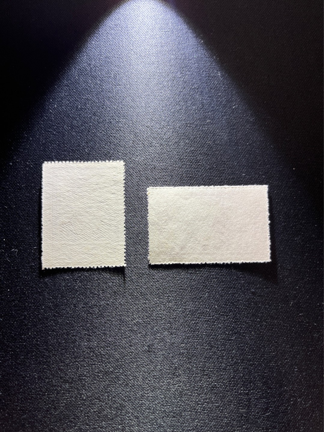 洪涛臻品 精选邮票限时拍卖第二十七期 纪27斯大林新  3-1  3-2  2枚，全品