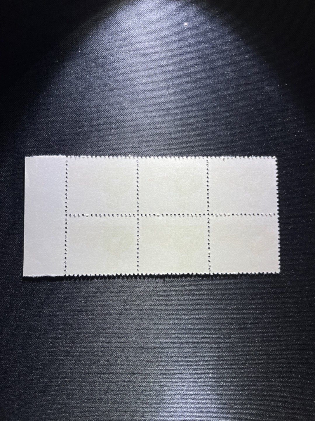 洪涛臻品 精选邮票限时拍卖第二十七期 普无号  10分解放军  6连一组，厂名，版撕全品，文革唯一一套普票，有较高的收藏价值，可单枚玩，可成套玩。可评级