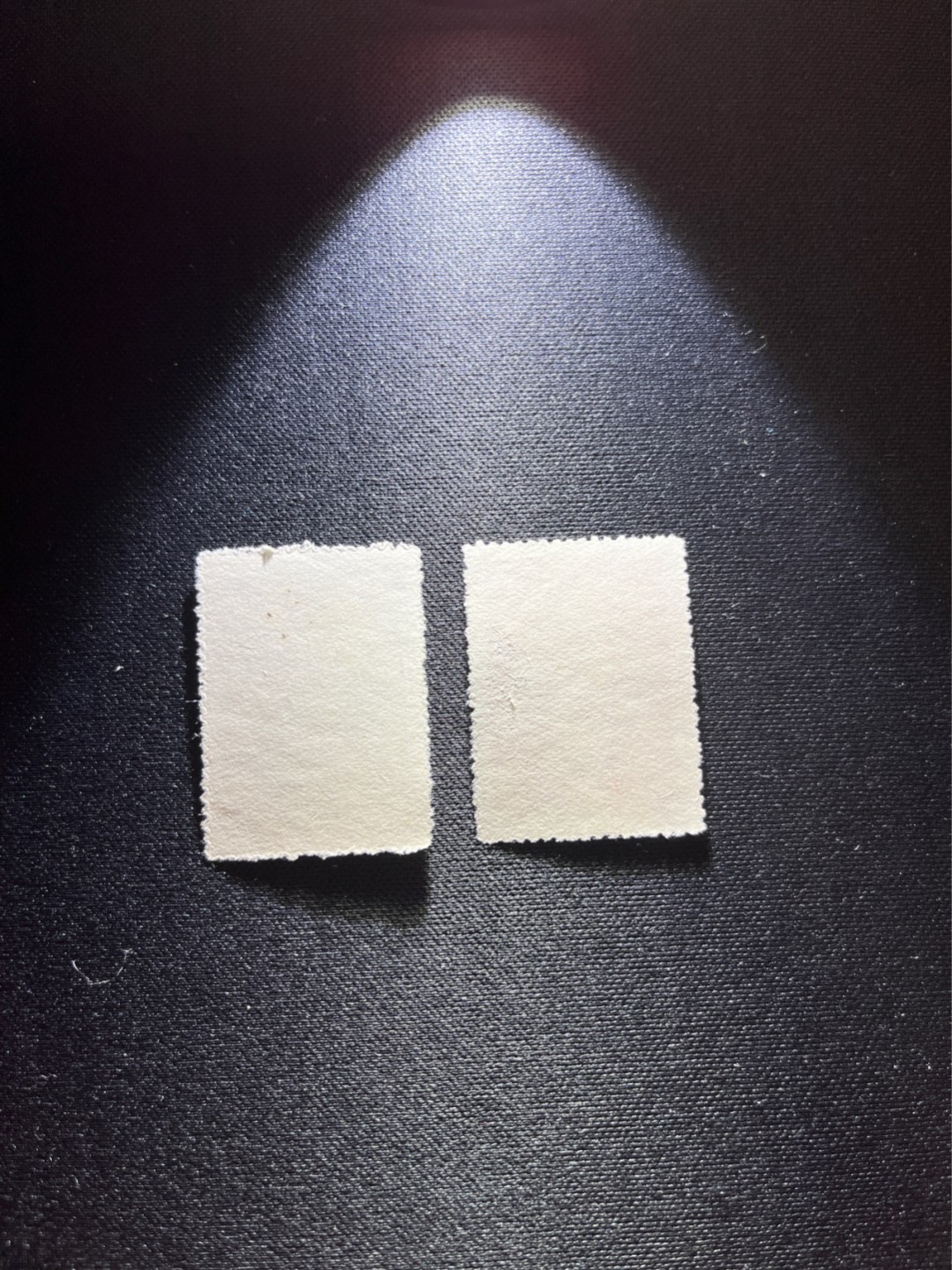 洪涛臻品 精选邮票限时拍卖第二十七期 纪3工会  3-1  3-2  2枚新  上品，背面轻微贴印