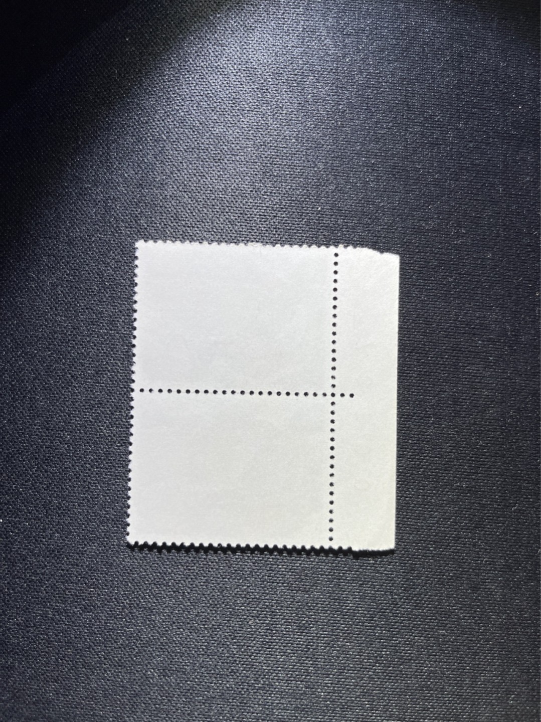 洪涛臻品 精选邮票限时拍卖第二十七期 文17  10分  厂名，数字2连一组，全品，三俗稀缺，喜欢不要错过，全品可评级