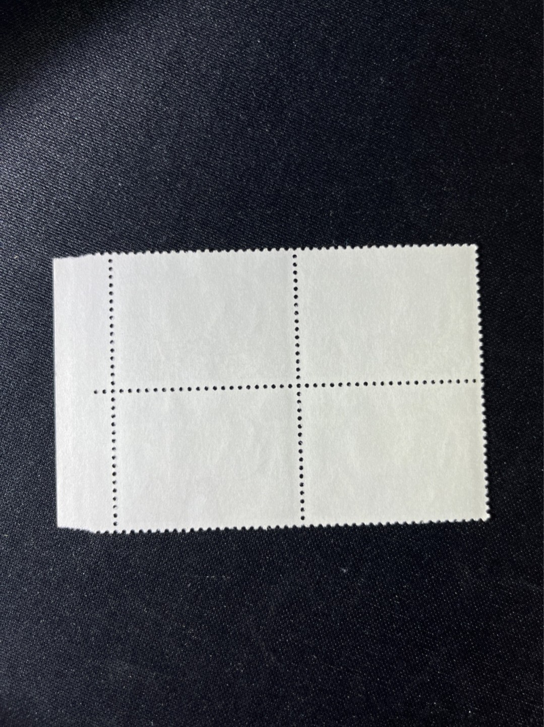 洪涛臻品 精选邮票限时拍卖第二十七期 文17  10分厂名方连一组，全品，三俗稀缺，喜欢不要错过，全品可评级