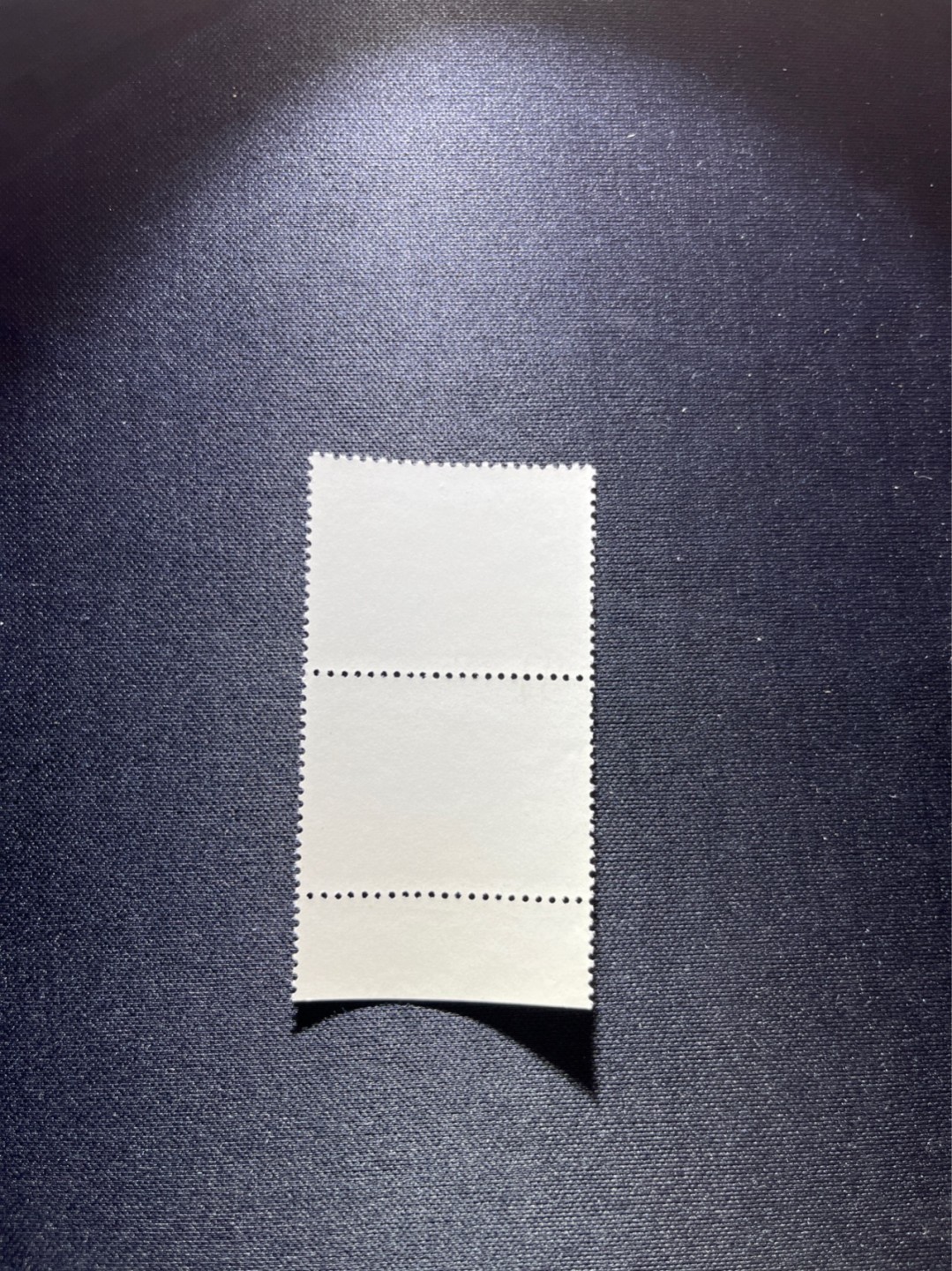 洪涛臻品 精选邮票限时拍卖第二十七期 热门品种，特73井冈山  盖销  8-4  竖2连一组 ，经典热门小票，版撕全品嘎嘎绝，白胶润泽，撕口新，适合收藏，喜欢不要错过，全品可评级