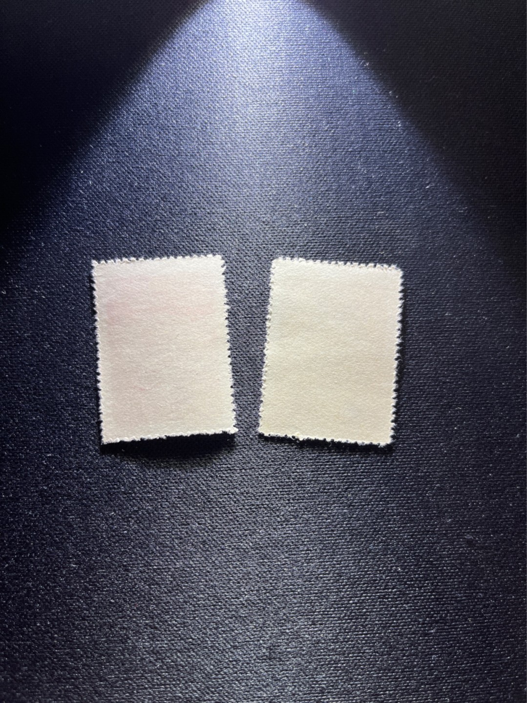 洪涛臻品 精选邮票限时拍卖第二十七期 纪3工会  3-1  3-2  2枚新  全品