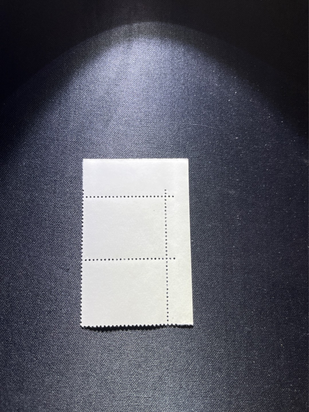 洪涛臻品 精选邮票限时拍卖第二十七期 编号N11  22分巴黎公社新，1971年发行，编号邮票中排名第一的邮票，2连左上直角边，版撕全品，收藏级品相，拍照光线不好，无任何发黄，编号精品，普通全品好买，版撕全品不好碰，齿孔新，全品可评级，所有拍品包过灯，注意捡漏