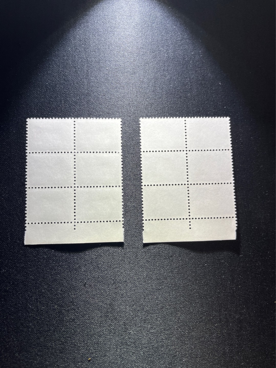 洪涛臻品 精选邮票限时拍卖第二十八期 文17 新全  6连一组，带边纸，经典普票，必须收藏一组，版撕全品嘎嘎绝，全品可评级
