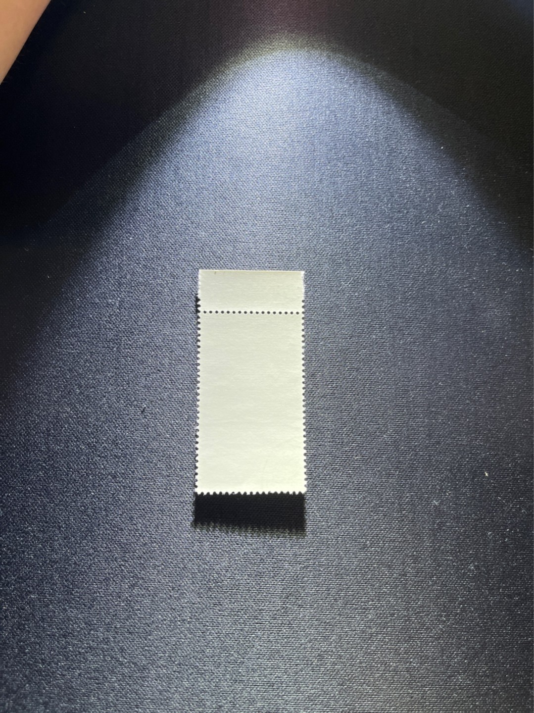 洪涛臻品 精选邮票限时拍卖第二十八期 特68  新安江盖销 4-2厂铭数字，版撕全品嘎嘎绝，解放初的经典票，整版撕开，面艳胶白，票挺洁净，齿孔完美，收藏评级两相宜，且有高附加值边纸。老纪特的版票资源十分稀缺难寻，机会来临时必须抓住。