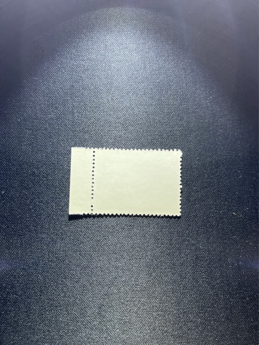 洪涛臻品 精选邮票限时拍卖第二十八期 热门品种，特73井冈山  盖销  8-4  ，1枚，经典热门票，版撕全品嘎嘎绝，白胶润泽，撕口新，适合收藏，喜欢不要错过，全品可评级