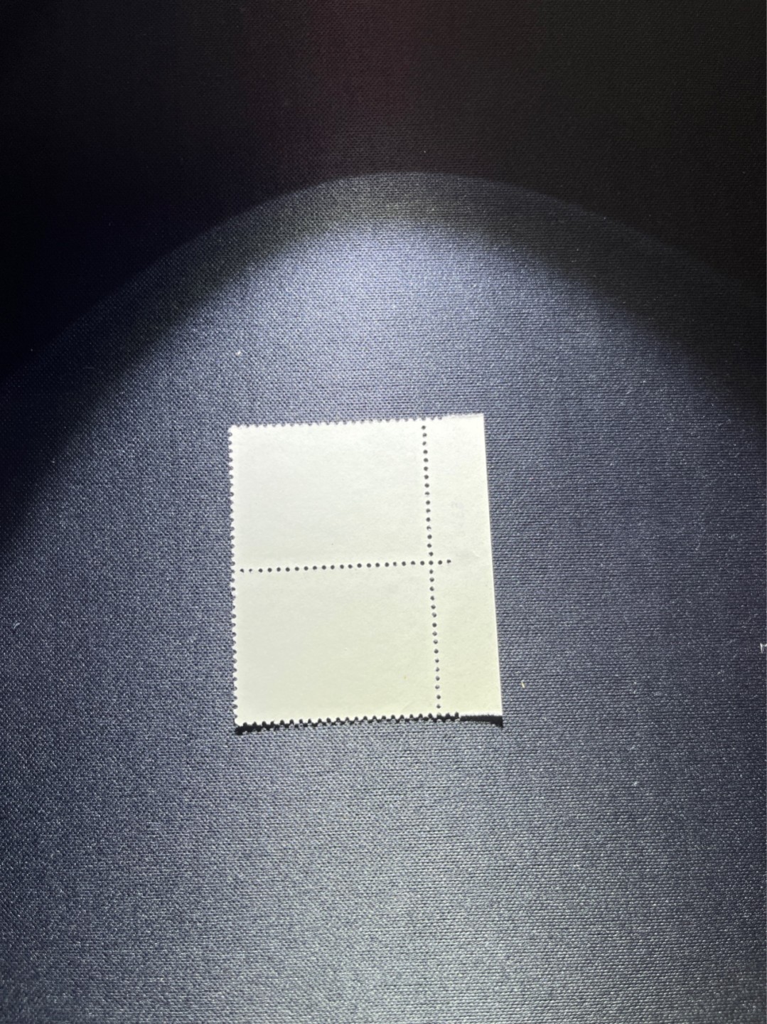 洪涛臻品 精选邮票限时拍卖第二十八期 热门品种，特73井冈山  盖销  8-4 数字，厂名2枚，经典热门票，三俗稀缺，版撕全品嘎嘎绝，撕口新，适合收藏，喜欢不要错过，全品可评级