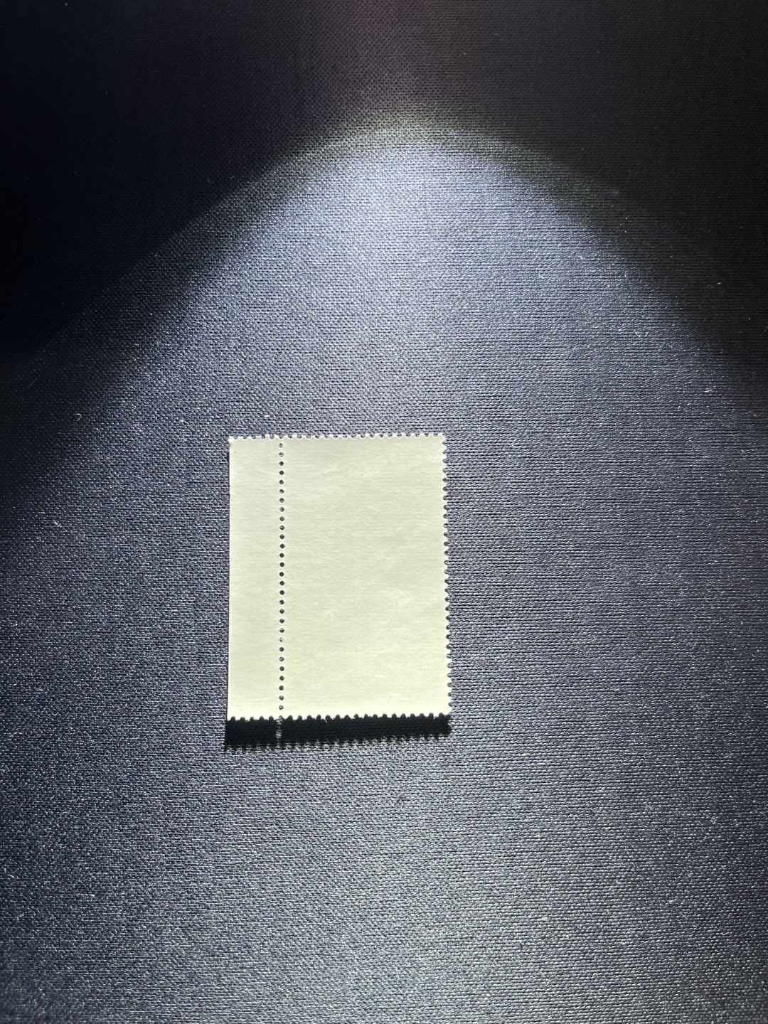 洪涛臻品 精选邮票限时拍卖第二十八期 特67石油  盖销  5-2  纯黑色★黑金★色标一枚，(石油又称黑金)版撕全品嘎嘎绝，三俗稀缺，齿孔饱满，背胶白润，全部带硅胶手套操作，没有触痕，可评级，注意捡漏