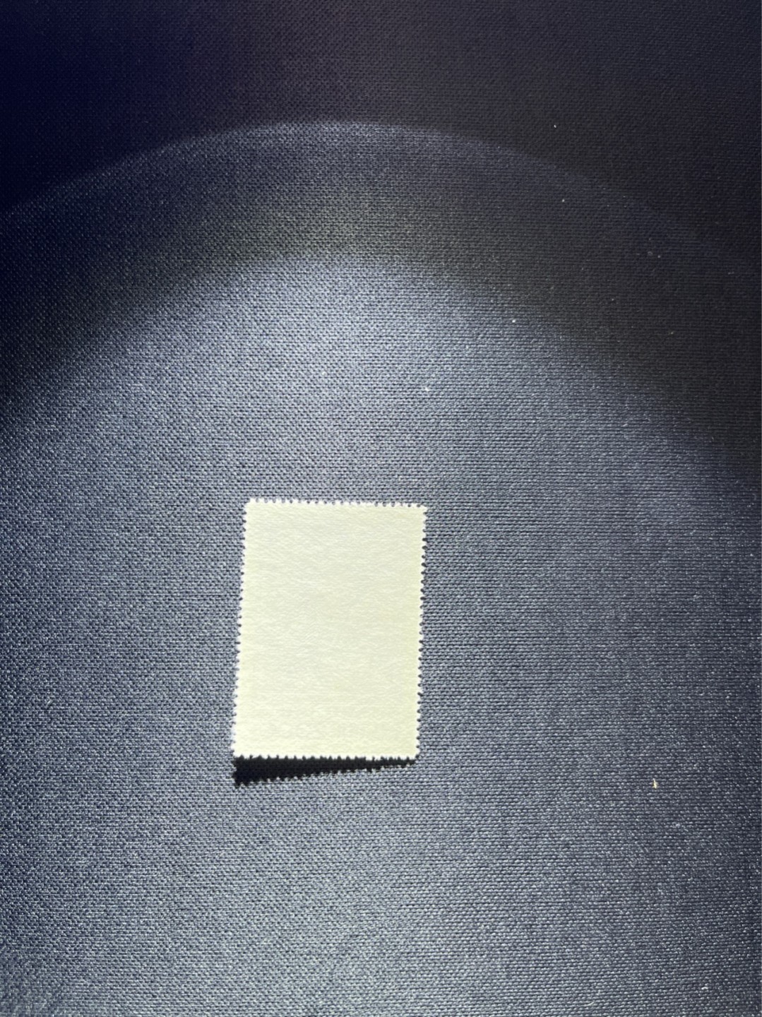 洪涛臻品 精选邮票限时拍卖第二十八期 纪26列宁新 总筋3-2 带边纸1枚  版撕全品嘎嘎绝，收藏级品相★总筋一枚几乎等于一套票★老纪特经典票，ASG90分一套价格1500元左右，博分首选，收藏或评级必须选版撕票，注意捡漏