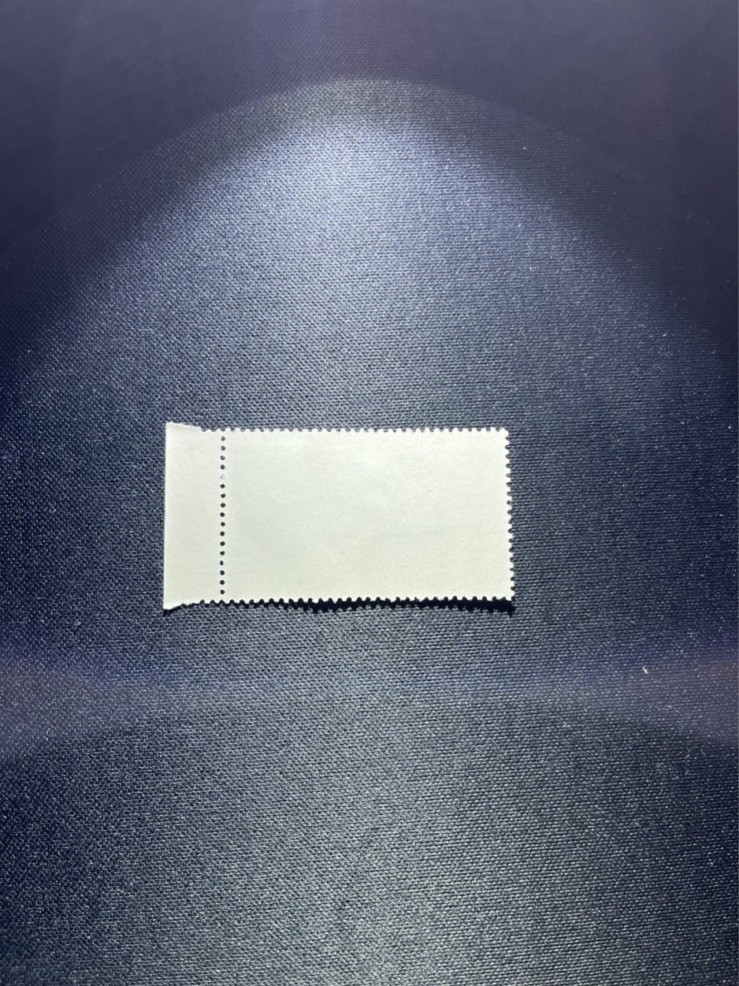 洪涛臻品 精选邮票限时拍卖第二十八期 热门品种，特74解放军盖销  8-4色标，版撕全品嘎嘎绝，解放初的经典票，整版撕开，面艳胶白，票挺洁净，齿孔完美，收藏评级两相宜，且有色标高附加值边纸。老纪特的版票资源十分稀缺难寻，机会来临时必须抓住。