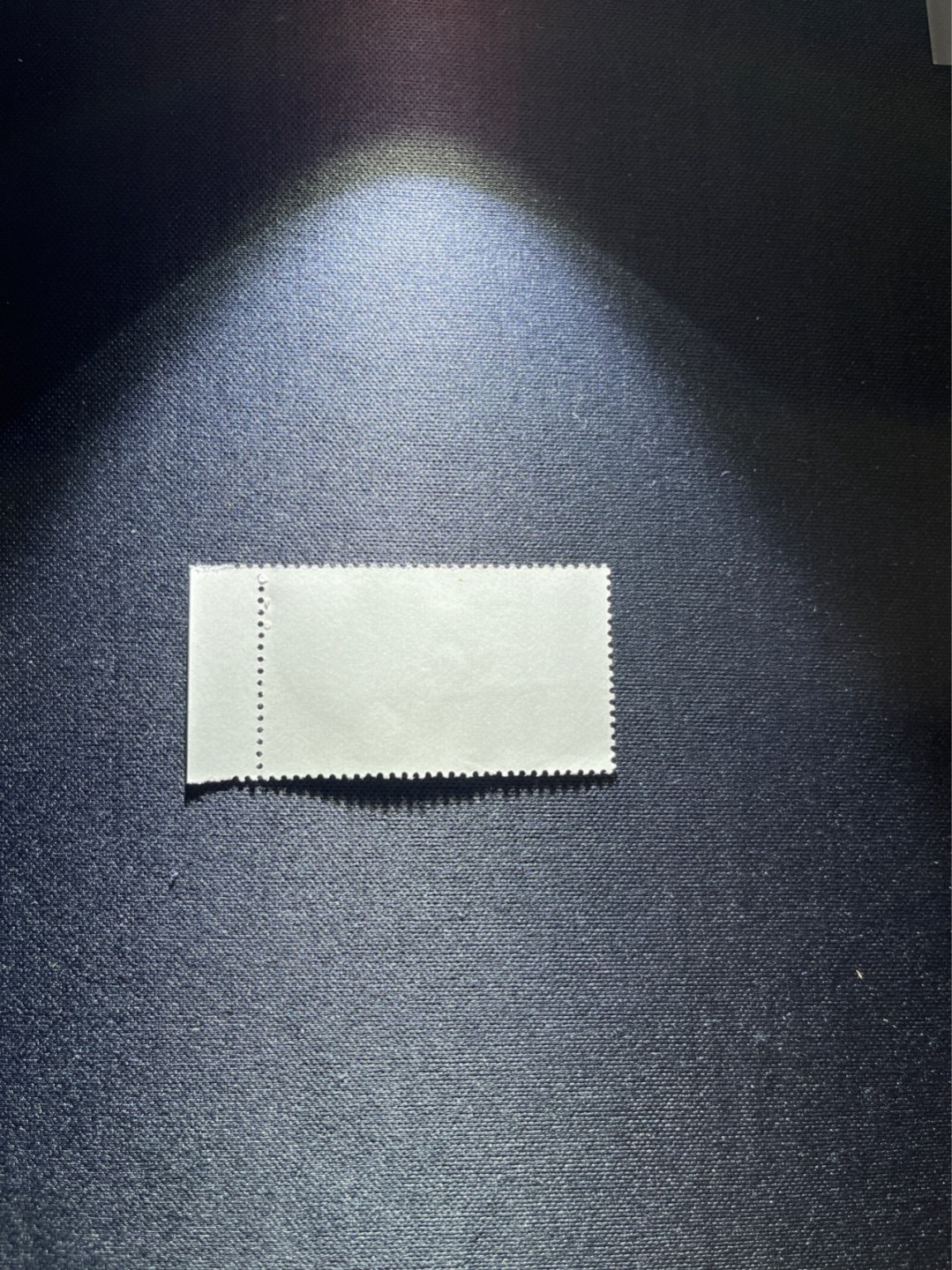 洪涛臻品 精选邮票限时拍卖第二十八期 热门品种，特74解放军盖销  8-4 厂铭，版撕全品嘎嘎绝，背胶白润，解放初的经典票，整版撕开，面艳胶白，票挺洁净，齿孔完美，收藏评级两相宜，且有厂铭高附加值边纸。老纪特的版撕票资源十分稀缺难寻，机会来临时必须抓住。