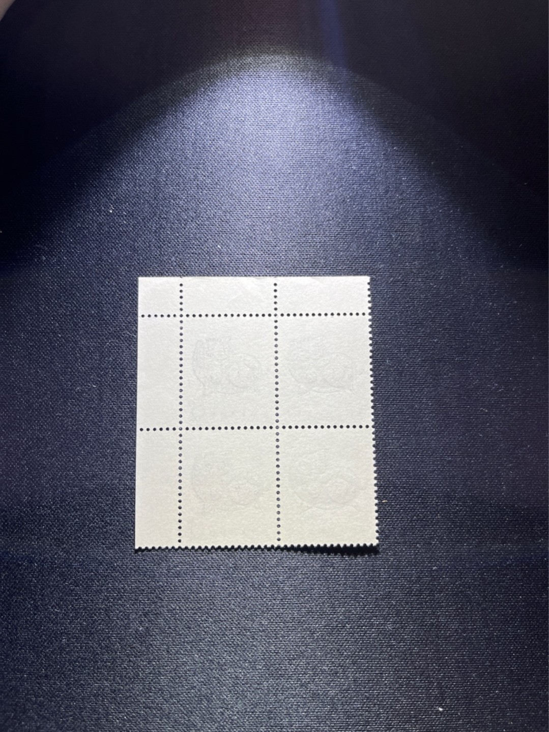 洪涛臻品 精选邮票限时拍卖第二十八期 T80生肖猪 方连一组  版撕全品嘎嘎绝，齿孔饱满，背面雪白，带硅胶手套撕版没有触痕，可评级。版撕红猪数量有限，注意捡漏