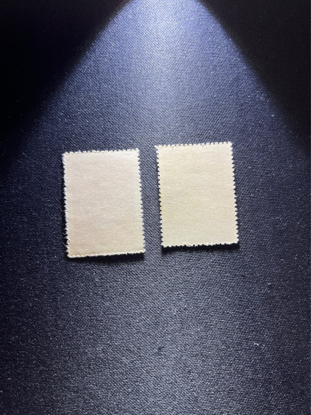 洪涛臻品 精选邮票限时拍卖第二十八期 纪东3再，2枚，全品。 (参考：3枚全套的市场价1800元左右)
