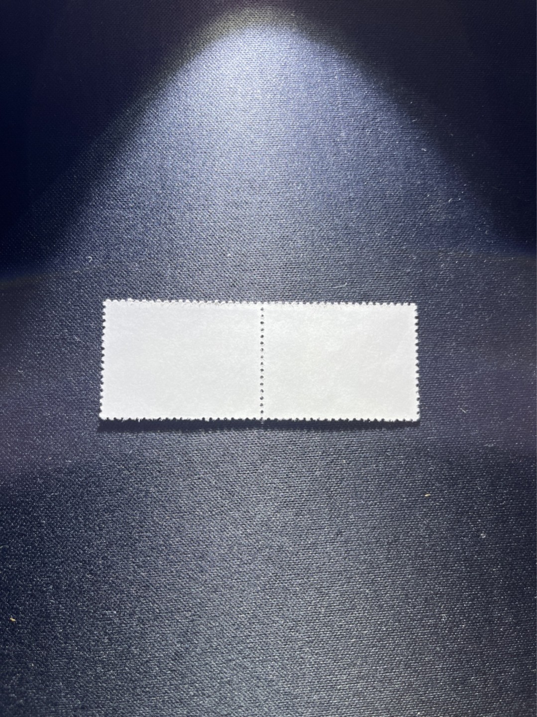 洪涛臻品 精选邮票限时拍卖第二十八期 文17知青  4分2连新  毛主席批评邮政说不许搞语录，也不能浪费纸张用大票幅后，设计印刷的设计精美的非政治性的文革邮票。版撕全品嘎嘎绝，齿孔漂亮可评级，注意捡漏