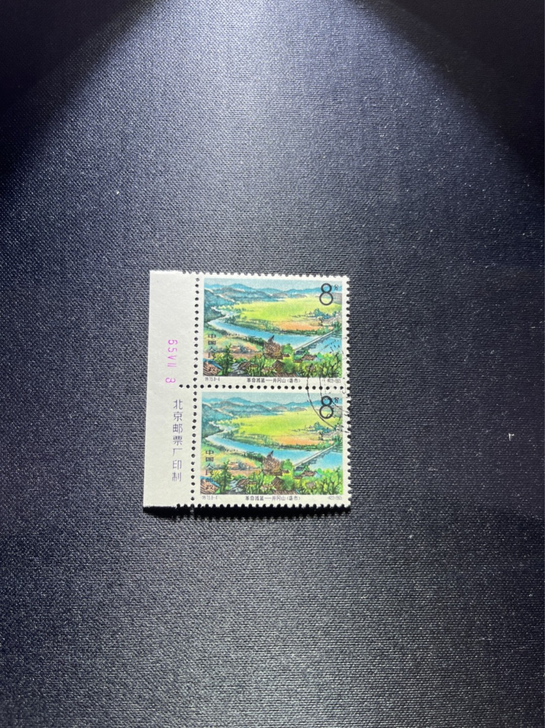 洪涛臻品 精选邮票限时拍卖第二十八期 热门品种，特73井冈山  盖销  8-4 数字，厂名2枚，经典热门票，三俗稀缺，版撕全品嘎嘎绝，撕口新，适合收藏，喜欢不要错过，全品可评级