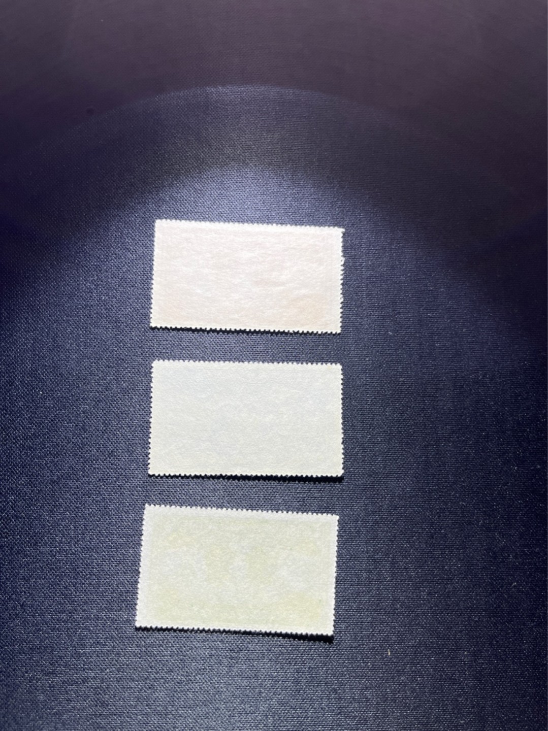 洪涛臻品 精选邮票限时拍卖第二十八期 纪8中苏新全  版撕全品，可评级，注意捡漏