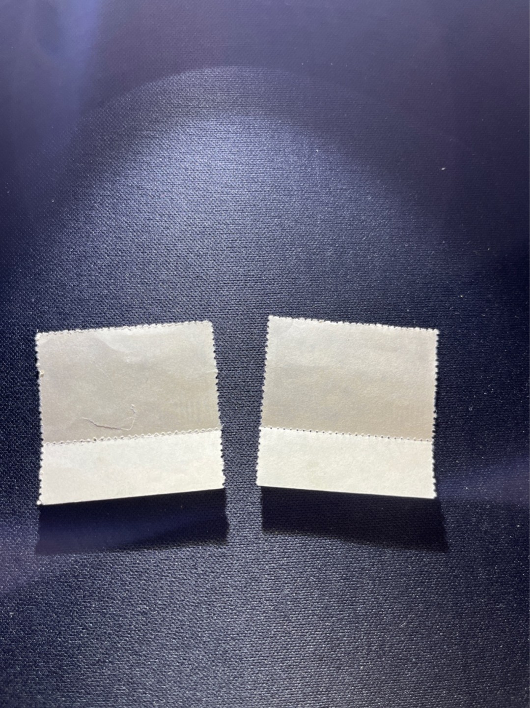洪涛臻品 精选邮票限时拍卖第二十九期 纪11鲁迅新全  厂名 中品  2-1有破损