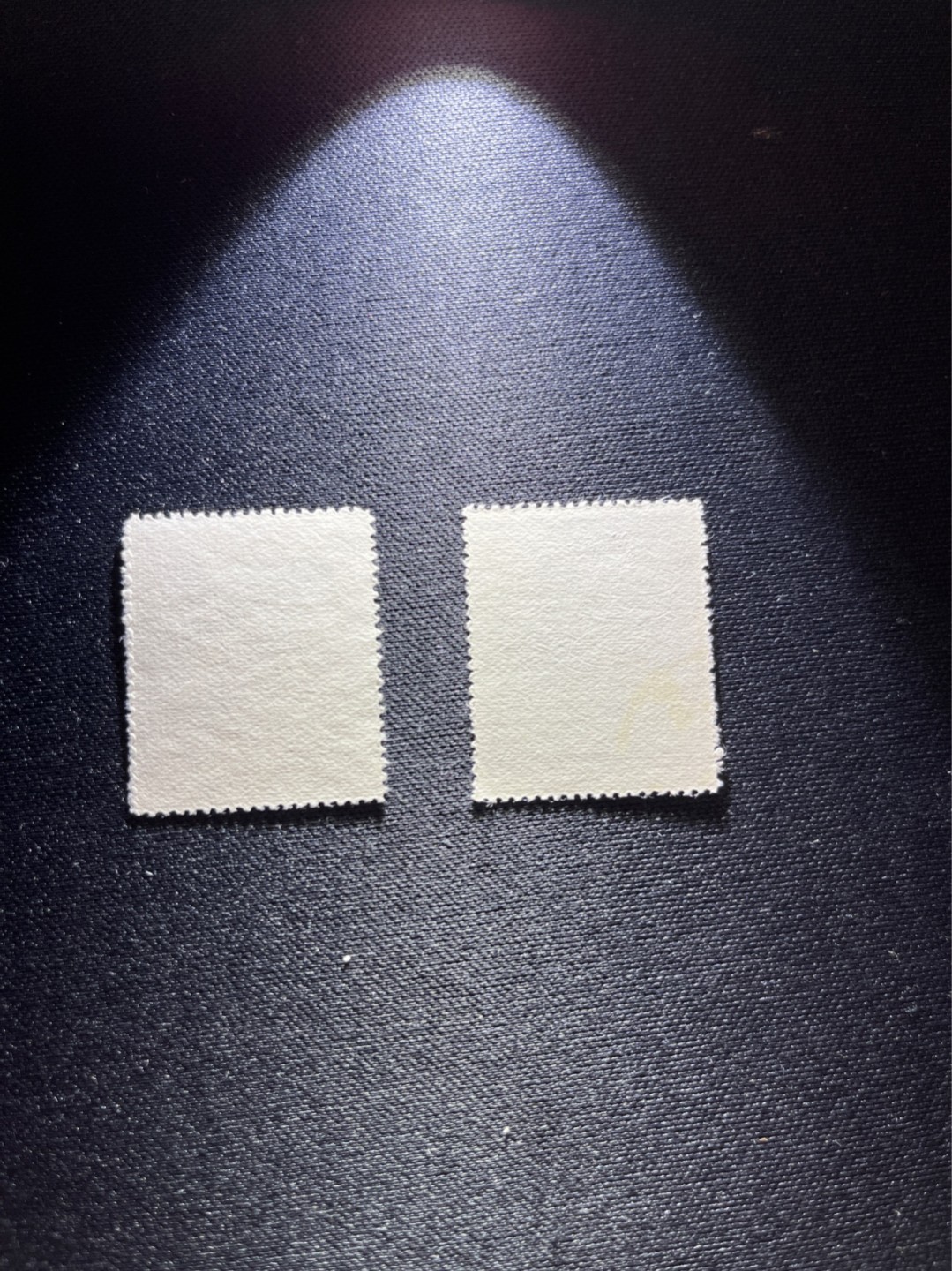 洪涛臻品 精选邮票限时拍卖第二十八期 纪42无产者联合盖销  全品顺戳 