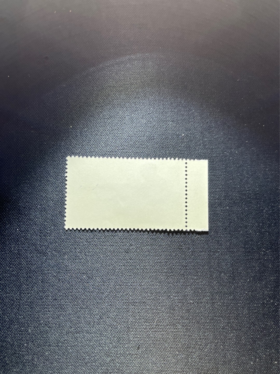 洪涛臻品 精选邮票限时拍卖第二十九期 特74解放军盖销  8-4 厂铭，三俗稀缺，版撕全品嘎嘎绝。解放初的经典票，整版撕开，面艳胶白，票挺洁净，齿孔完美，收藏评级两相宜，且有高附加值边纸。老纪特的版票资源十分稀缺难寻，机会来临时必须抓住。