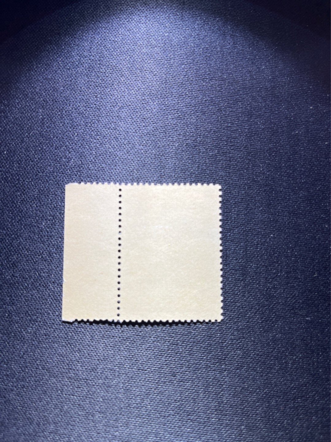 洪涛臻品 精选邮票限时拍卖第二十九期 纪92古科  8-2 盖销  版撕全品嘎嘎绝  边纸。解放初的经典票，整版撕开，面艳胶白，票挺洁净，齿孔完美，收藏评级两相宜，且有高附加值边纸。老纪特的版票资源十分稀缺难寻，机会来临时必须抓住。