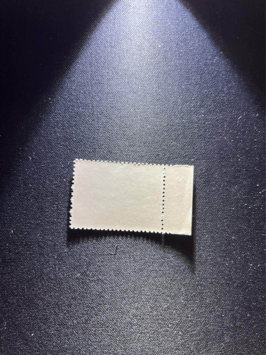洪涛臻品 精选邮票限时拍卖第二十九期 热门品种，特73井冈山  盖销  8-4  数字边一枚，经典热门小票，三俗稀缺，版撕全品嘎嘎绝，白胶润泽，撕口新，适合收藏，喜欢不要错过，全品可评级