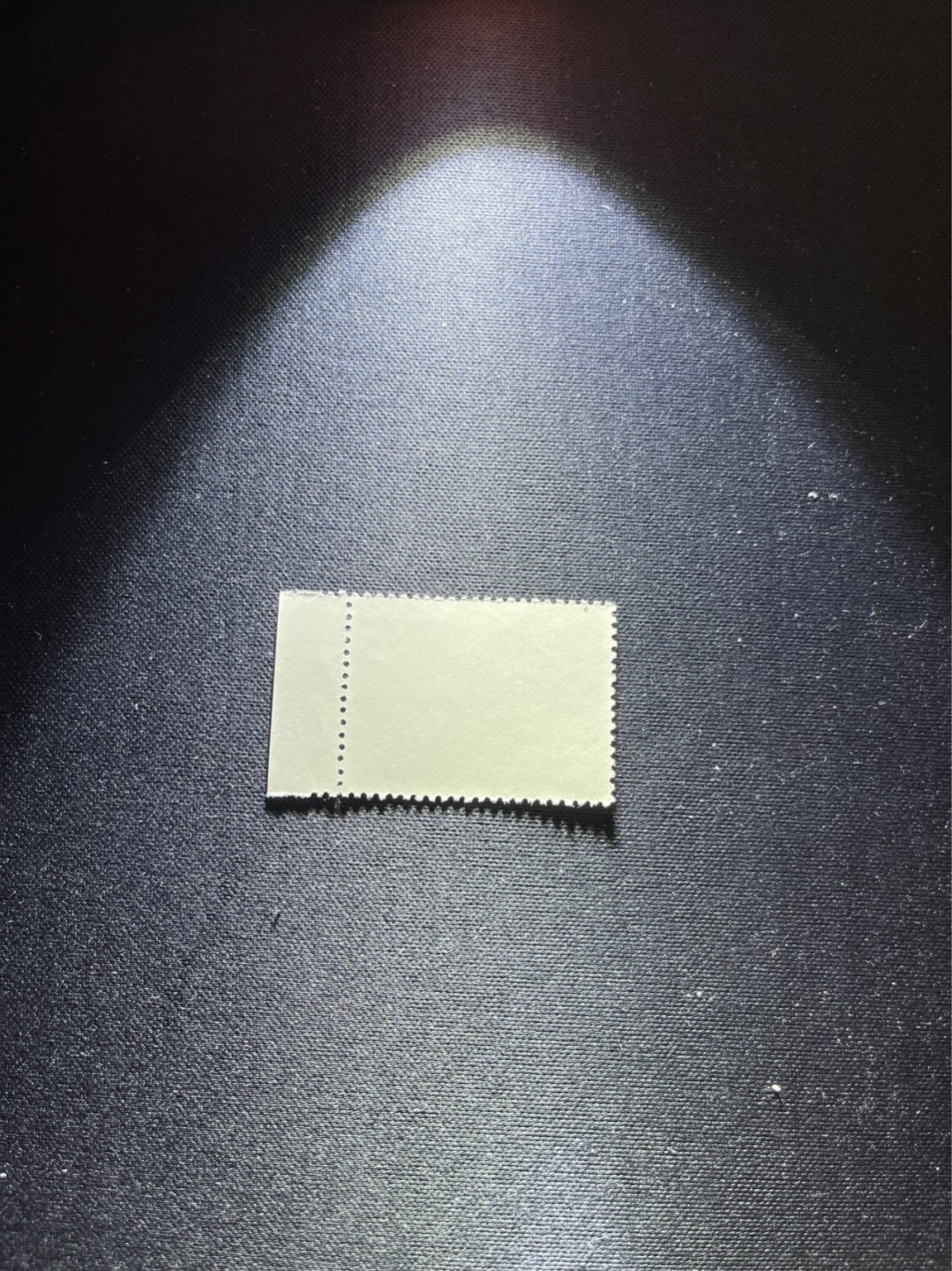 洪涛臻品 精选邮票限时拍卖第二十九期 特73井冈山盖销  8-4厂铭，三俗稀缺，版撕全品嘎嘎绝，解放初的经典票，整版撕开，面艳胶白，票挺洁净，齿孔完美，收藏评级两相宜，且有高附加值边纸。老纪特的版票资源十分稀缺难寻，机会来临时必须抓住。