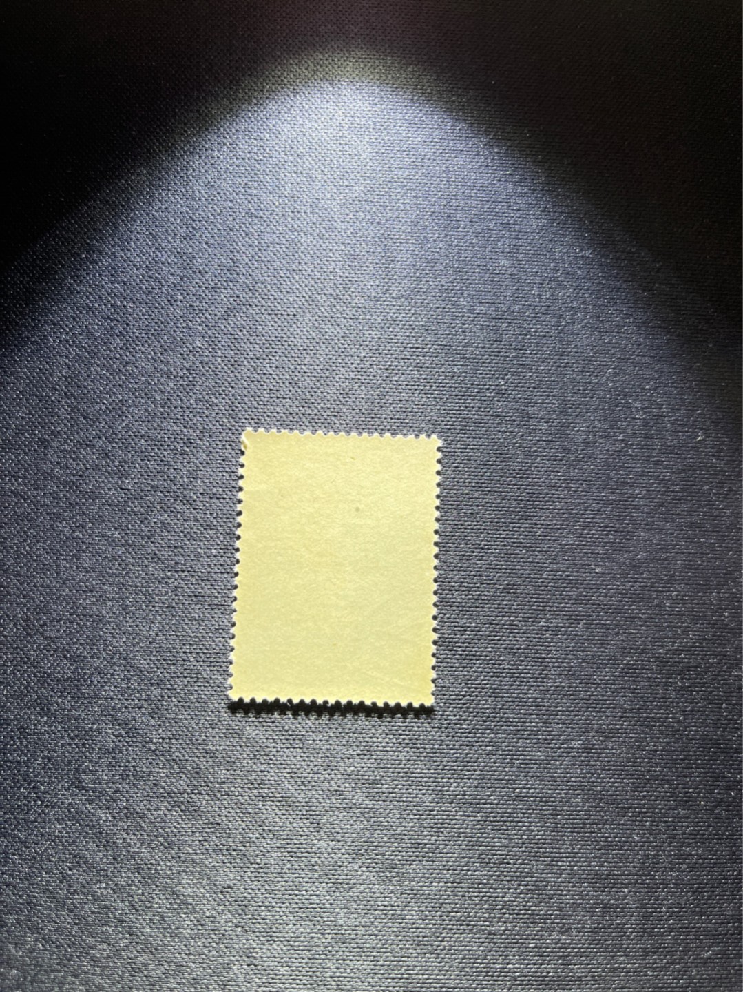 洪涛臻品 精选邮票限时拍卖第二十九期 纪92古科  8-4 盖销  版撕全品嘎嘎绝 。解放初的经典票，整版撕开，面艳胶白，票挺洁净，齿孔完美。老纪特的版票资源十分稀缺难寻，机会来临时必须抓住。