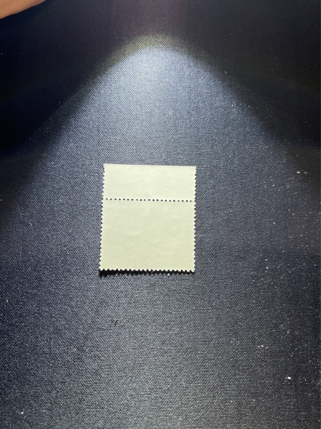 洪涛臻品 精选邮票限时拍卖第二十九期 特73井冈山盖销  8-4 双色标，三俗稀缺，版撕全品嘎嘎绝，解放初的经典票，整版撕开，面艳胶白，票挺洁净，齿孔完美，收藏评级两相宜，且有高附加值边纸。老纪特的版票资源十分稀缺难寻，机会来临时必须抓住。
