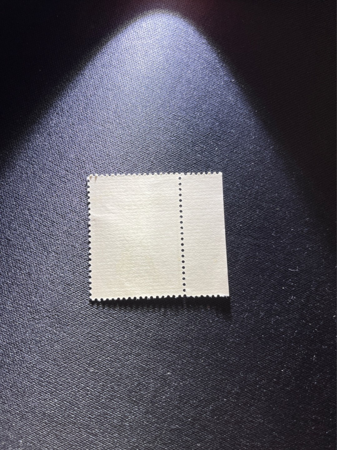 洪涛臻品 精选邮票限时拍卖第二十九期 特63青铜器8-1盖销  满绿色标，版撕全品嘎嘎绝。  解放初的经典票，整版撕开，面艳胶白，票挺洁净，齿孔完美，收藏评级两相宜，且有高附加值边纸。老纪特的版票资源十分稀缺难寻，机会来临时必须抓住。