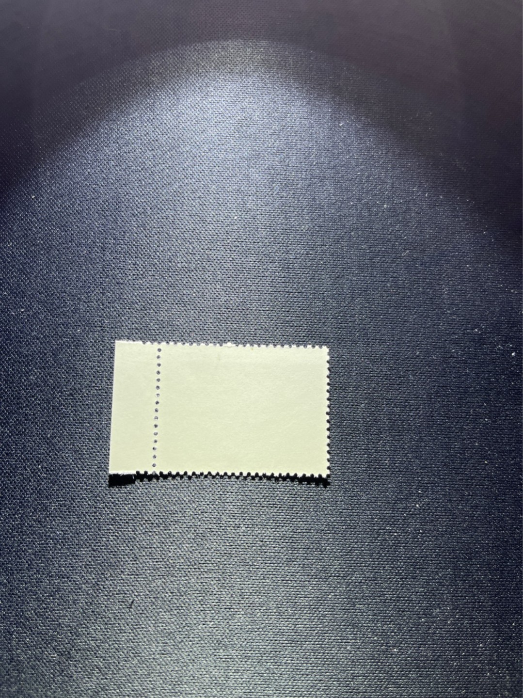 洪涛臻品 精选邮票限时拍卖第二十九期 热门品种，特73井冈山  盖销  8-4 一枚，经典热门小票，版撕全品嘎嘎绝，白胶润泽，撕口新，适合收藏，喜欢不要错过，全品可评级
