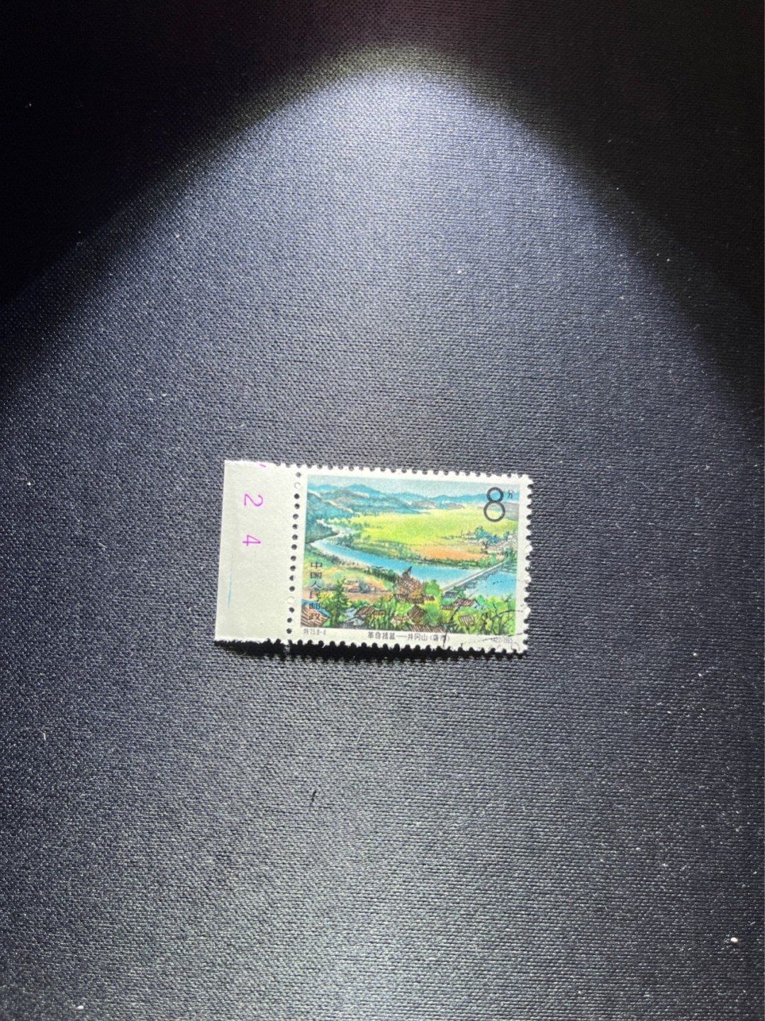 洪涛臻品 精选邮票限时拍卖第二十九期 热门品种，特73井冈山  盖销  8-4  数字边一枚，经典热门小票，三俗稀缺，版撕全品嘎嘎绝，白胶润泽，撕口新，适合收藏，喜欢不要错过，全品可评级