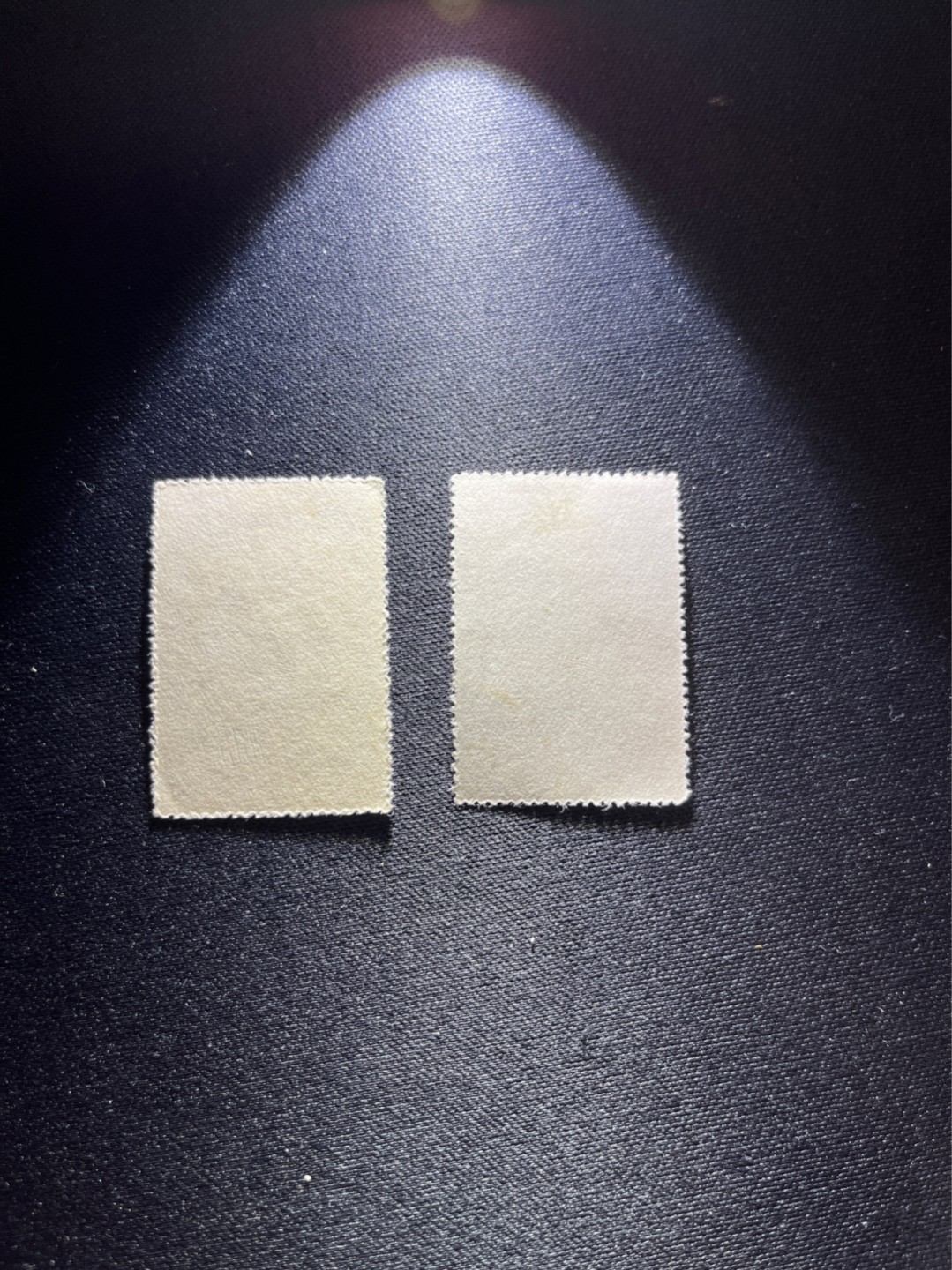 洪涛臻品 精选邮票限时拍卖第二十八期 纪22马克思 盖销  上品 小软折