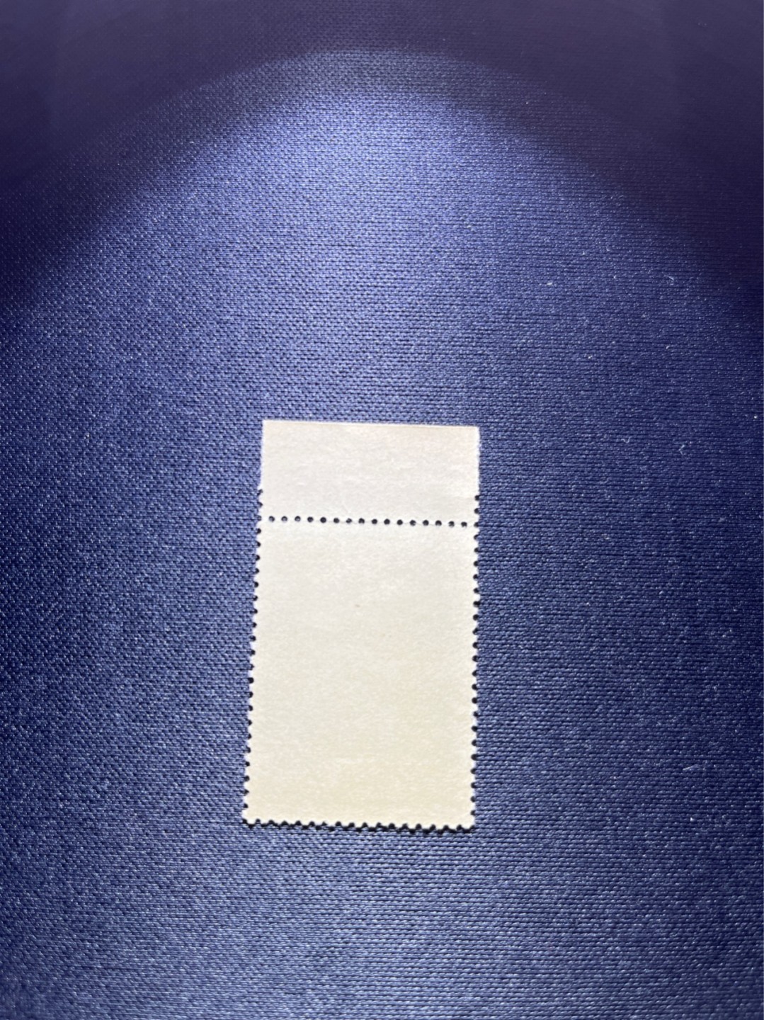 洪涛臻品 精选邮票限时拍卖第二十九期 纪92古科  8-2 盖销  版撕全品嘎嘎绝   边纸数字 三俗稀缺。解放初的经典票，整版撕开，面艳胶白，票挺洁净，齿孔完美，收藏评级两相宜，且有高附加值边纸。老纪特的版票资源十分稀缺难寻，机会来临时必须抓住。