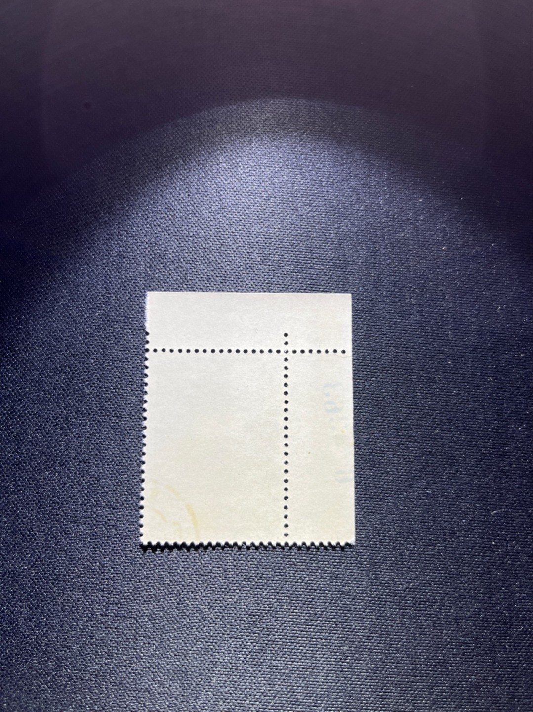 洪涛臻品 精选邮票限时拍卖第二十九期 纪92古科  8-3 盖销  版撕全品嘎嘎绝   边纸数字 三俗稀缺。解放初的经典票，整版撕开，面艳胶白，票挺洁净，齿孔完美，收藏评级两相宜，且有高附加值边纸。老纪特的版票资源十分稀缺难寻，机会来临时必须抓住。