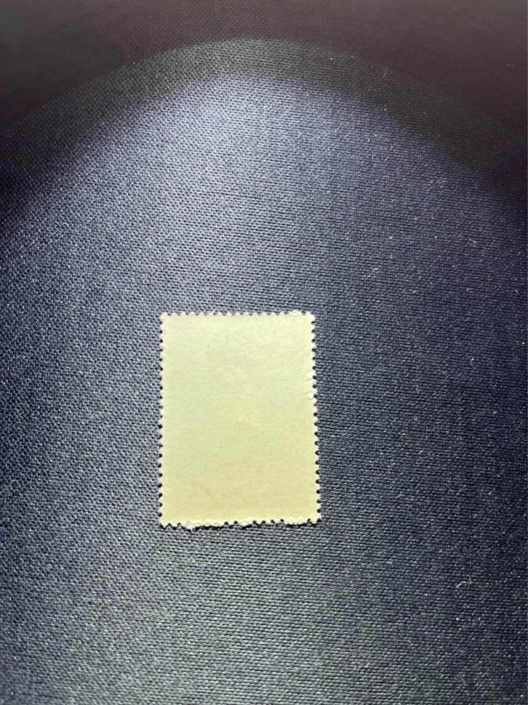 洪涛臻品 精选邮票限时拍卖第二十九期 纪92古科  8-3 盖销  版撕全品嘎嘎绝。解放初的经典票，整版撕开，面艳胶白，票挺洁净，齿孔完美，收藏评级两相宜。老纪特的版票资源十分稀缺难寻，机会来临时必须抓住。